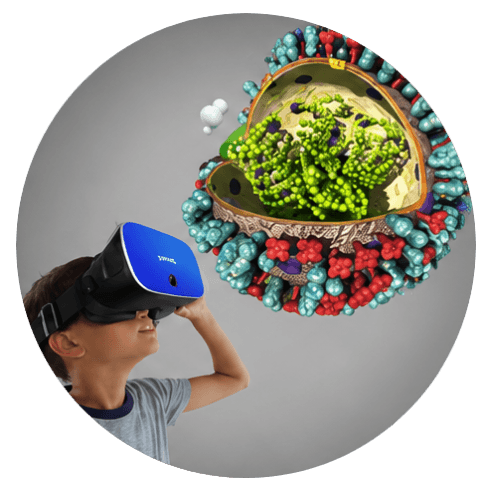 STEM interactive 3D models and scenes