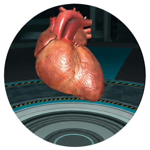 Interactive and immersive STEM simulations